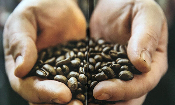 Our Coffees